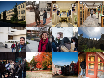 Screen Shot 2019-08-09 at 10.20.58 AM